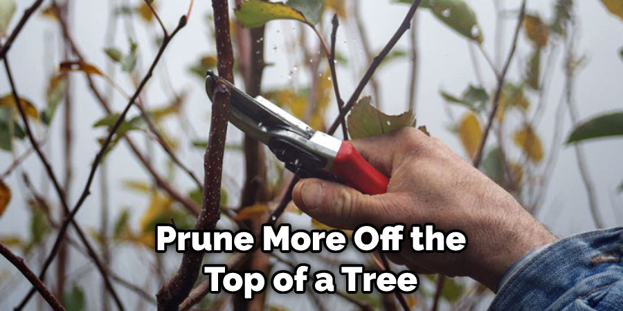 Prune More Off the Top of a Tree