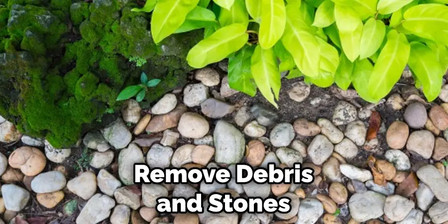 Remove Debris and Stones