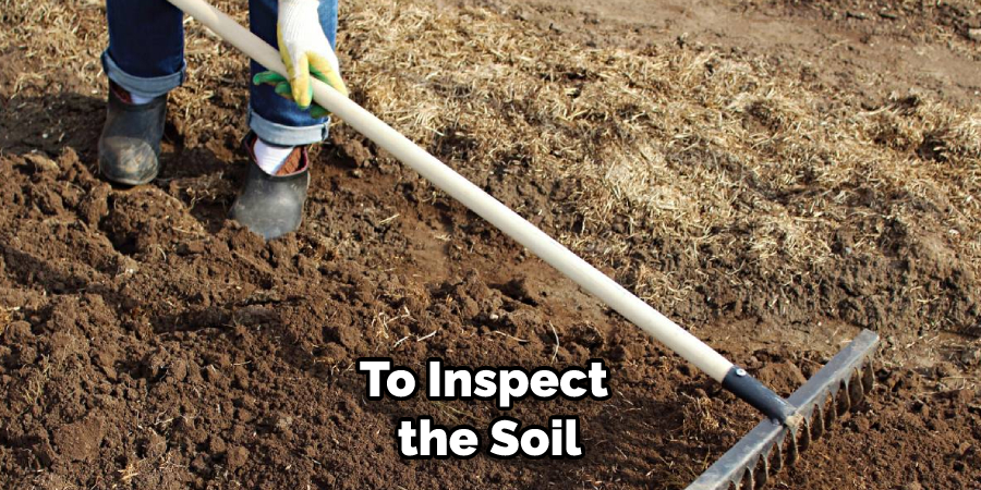 To Inspect the Soil