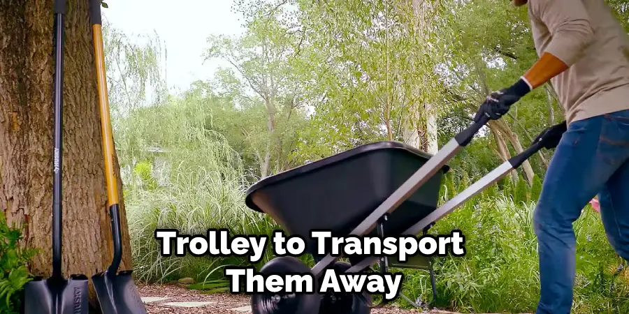 Trolley to Transport Them Away