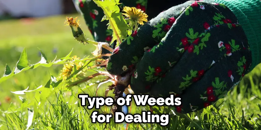 Type of Weeds for Dealing