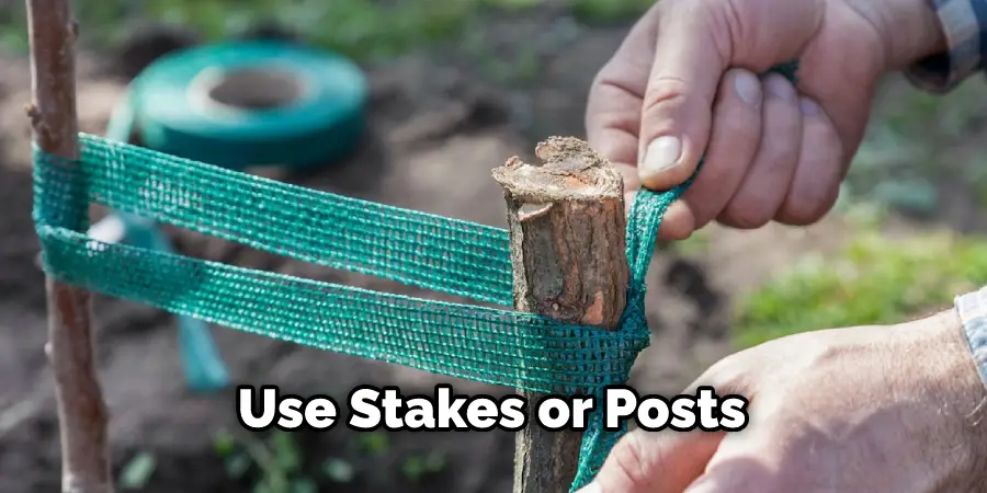  Use Stakes or Posts