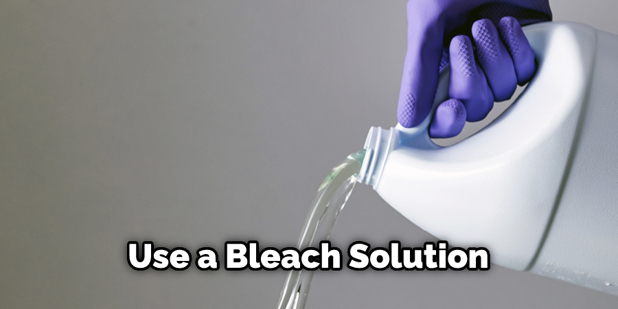 Use a Bleach Solution
