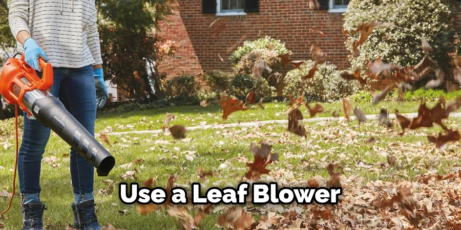 Use a Leaf Blower