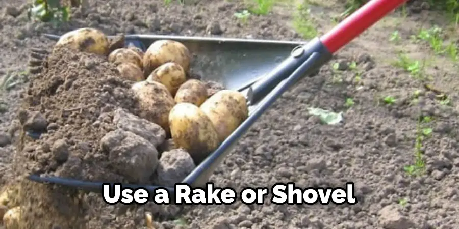 Use a Rake or Shovel