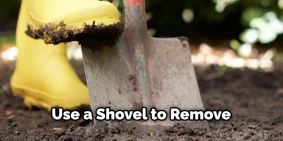 Use a Shovel to Remove