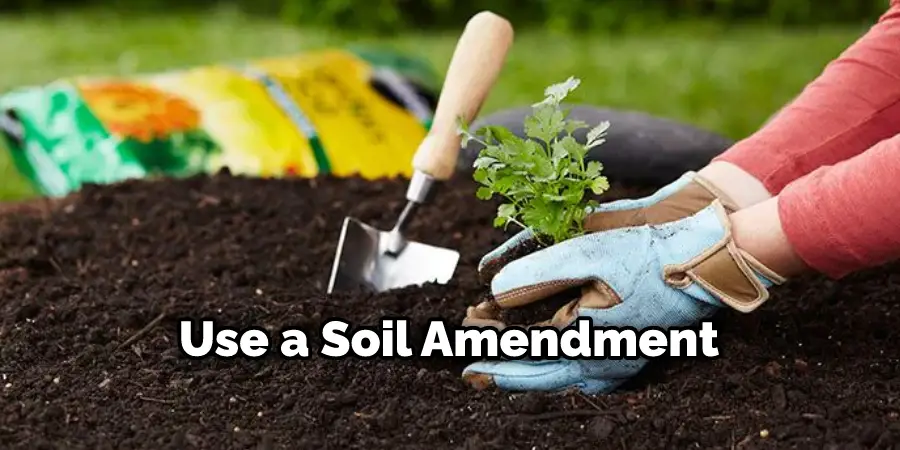 Use a Soil Amendment