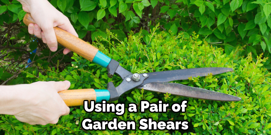 Using a Pair of Garden Shears