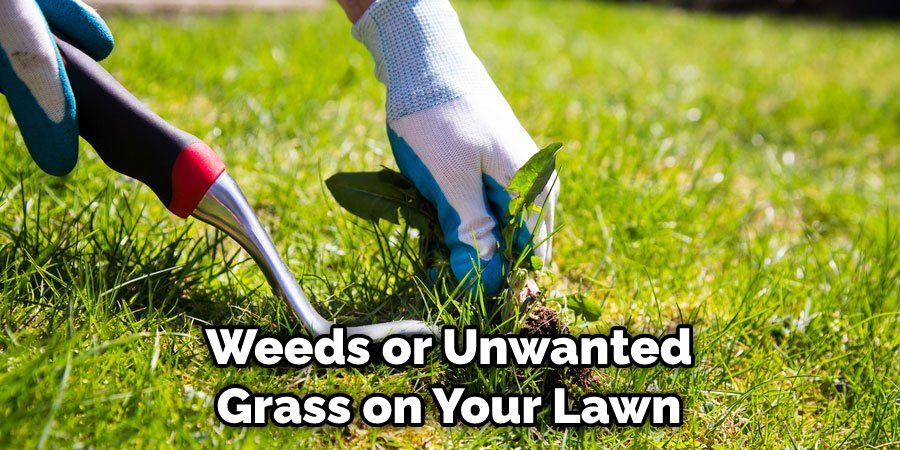 Weeds or Unwanted Grass on Your Lawn