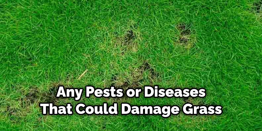 Any Pests or Diseases That Could Damage Grass