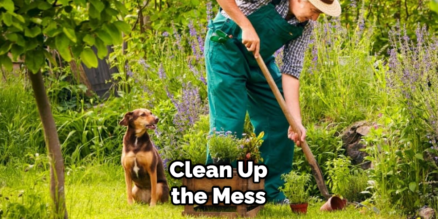 Clean Up the Mess