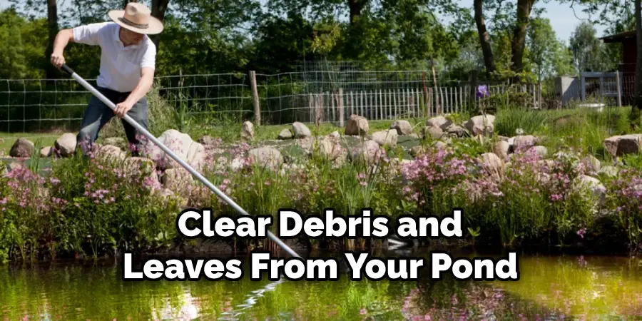 Clear Debris and Leaves From Your Pond