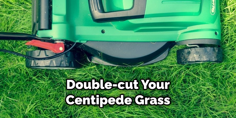 Double-cut Your Centipede Grass