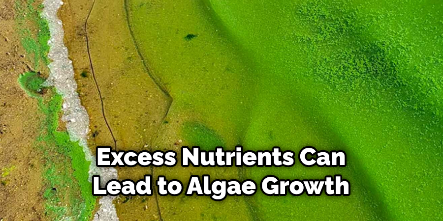 Excess Nutrients Can Lead to Algae Growth