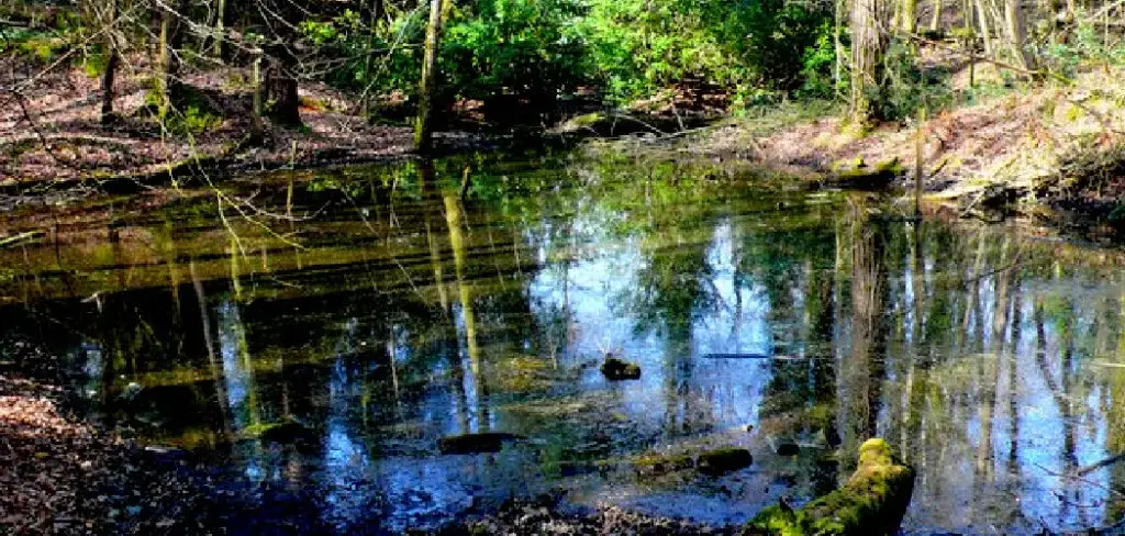 How to Fill a Pond With Water