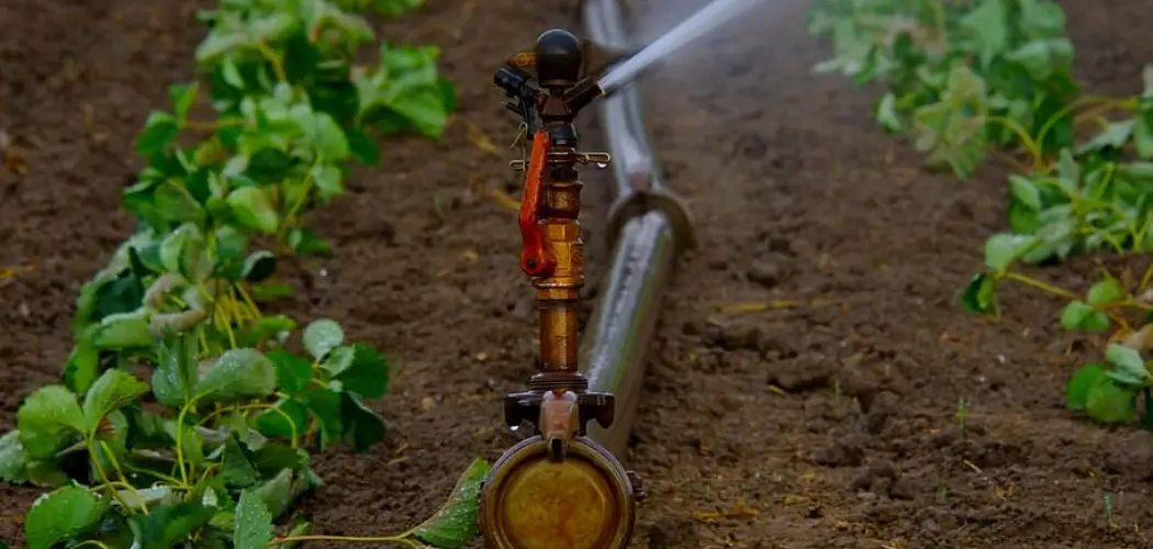 How to Find Irrigation Lines