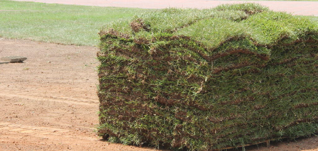 How to Install Bermuda Sod