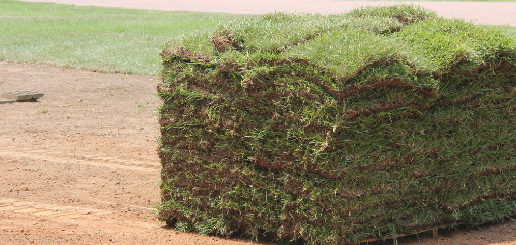 How to Install Bermuda Sod