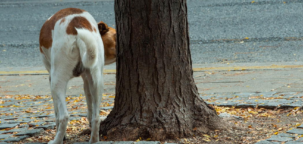 How to Keep Dogs from Peeing on Trees