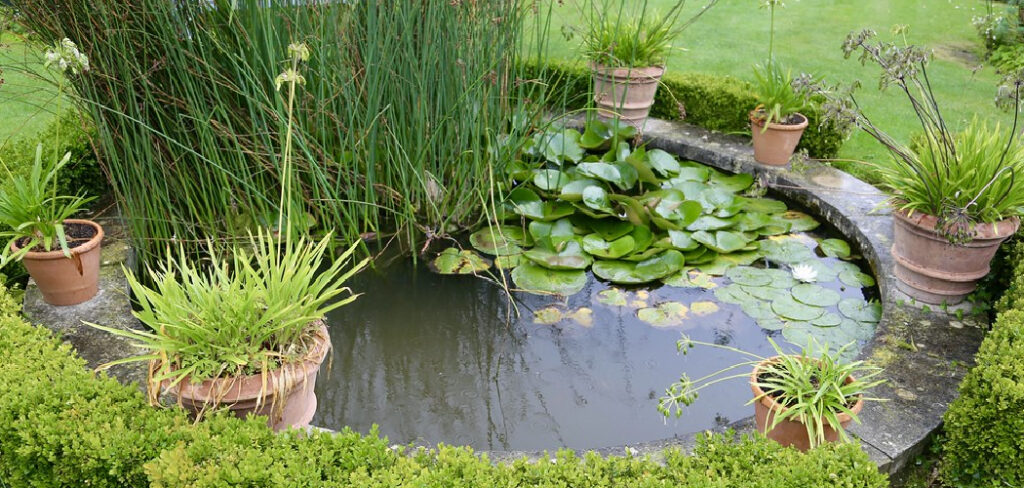 How to Keep Small Pond From Turning Green