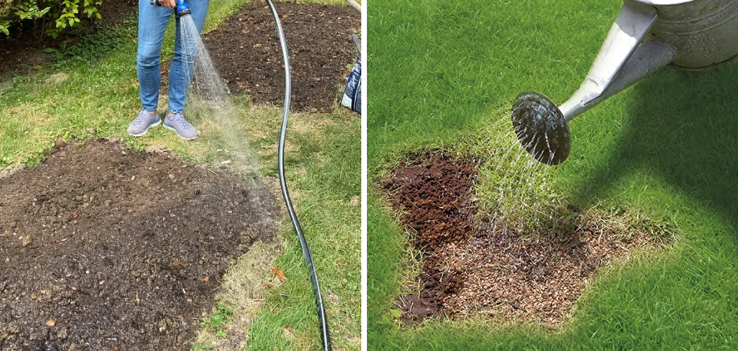 How to Water New Grass Seed Without Stepping on It