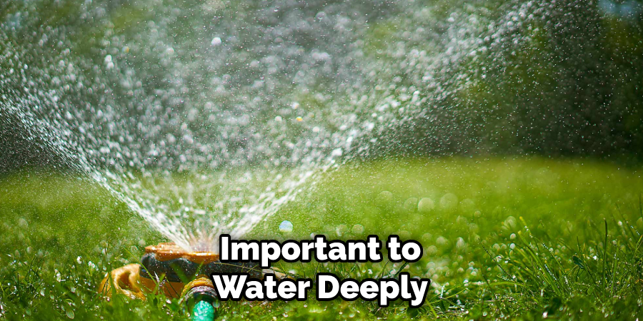 Important to Water Deeply