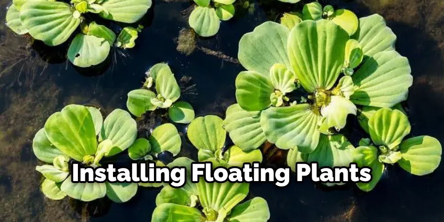 Installing Floating Plants