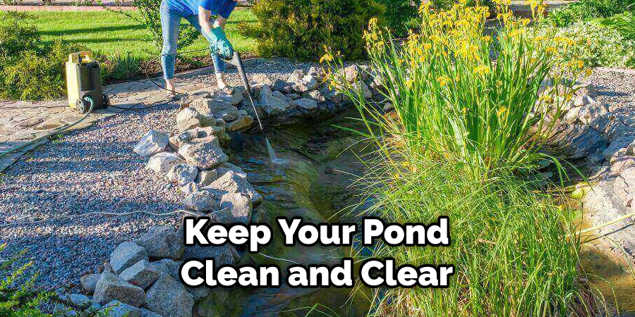 Keep Your Pond Clean and Clear