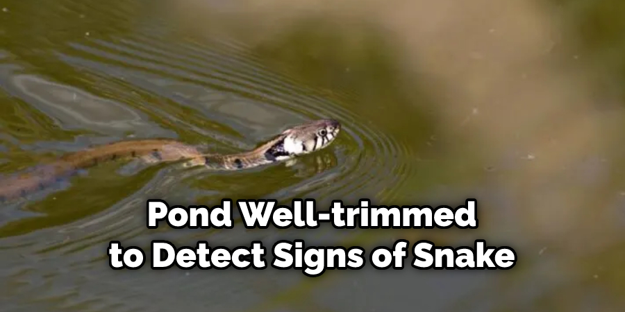 Pond Well-trimmed to Detect Signs of Snake