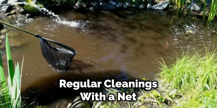 Regular Cleanings With a Net