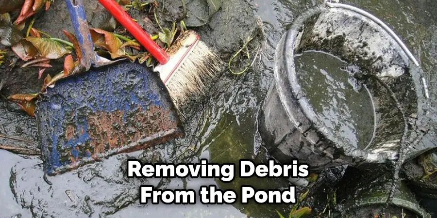 Removing Debris From the Pond