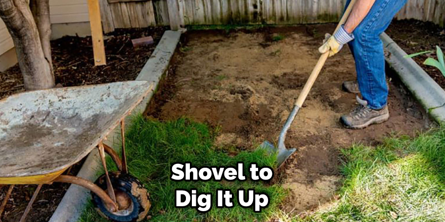 Shovel to Dig It Up