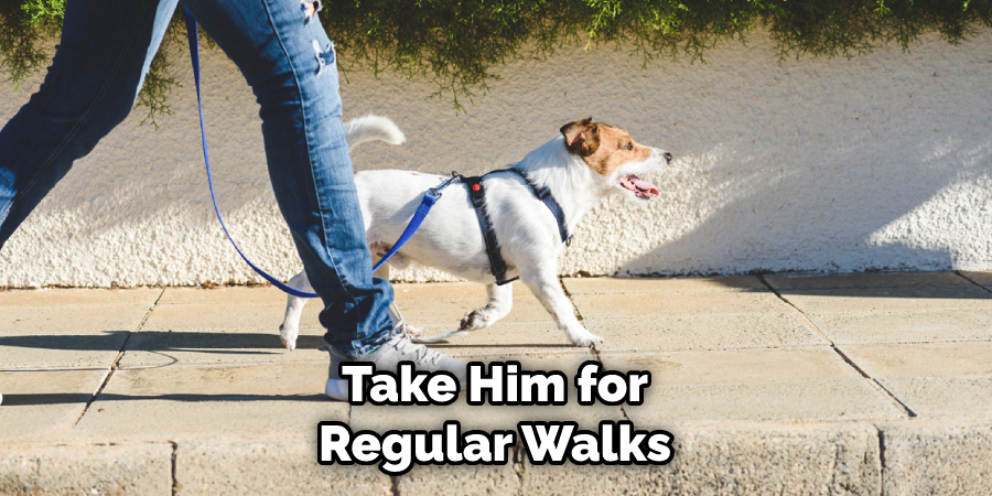 Take Him for Regular Walks