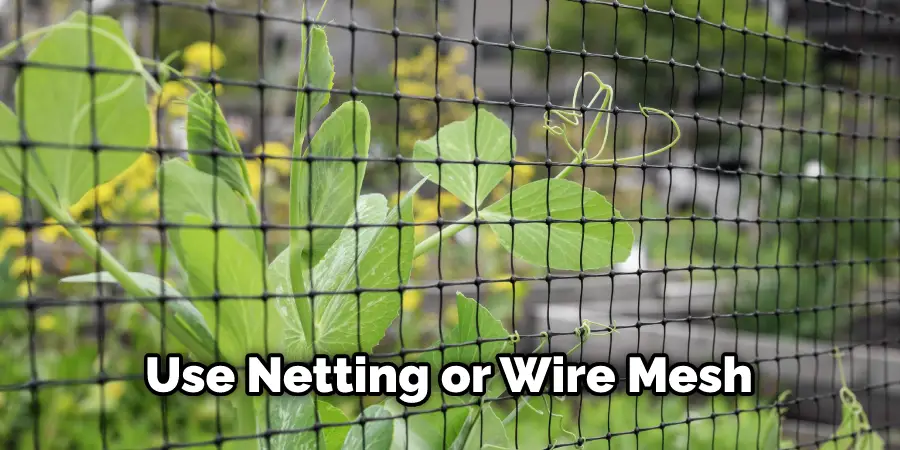 Use Netting or Wire Mesh