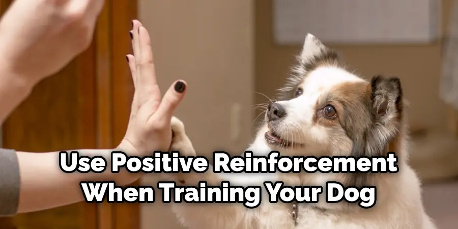 Use Positive Reinforcement When Training Your Dog
