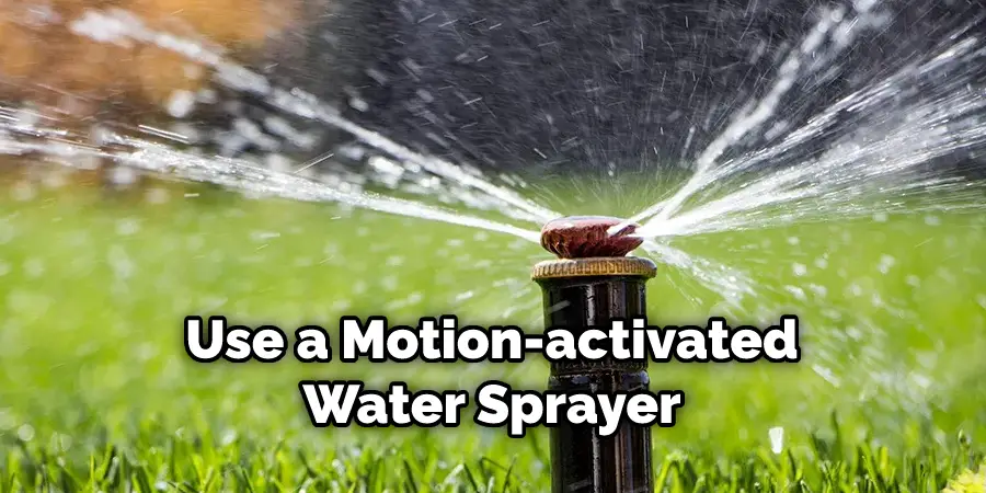 Use a Motion-activated Water Sprayer