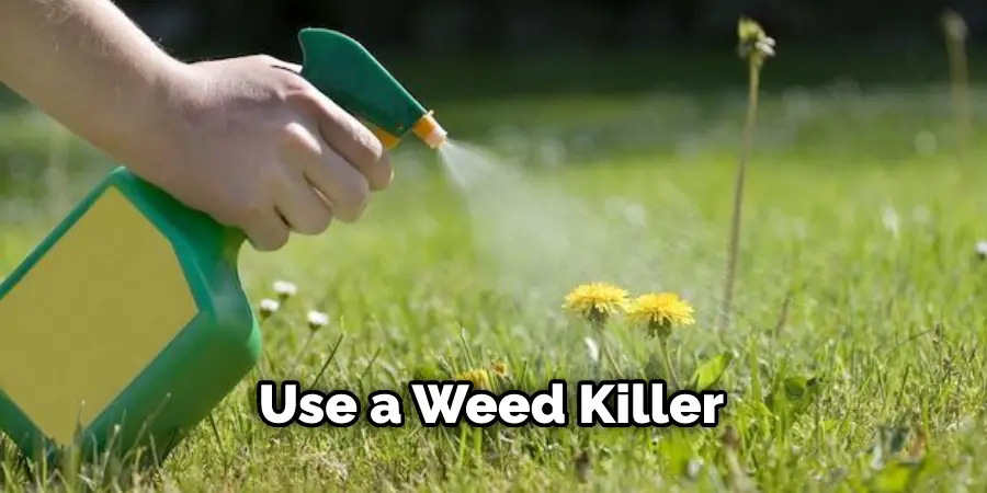 Use a Weed Killer