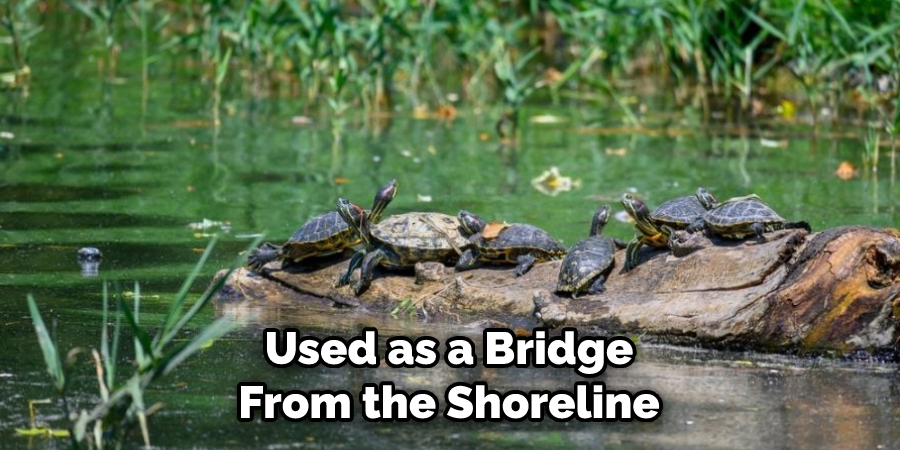 Used as a Bridge From the Shoreline