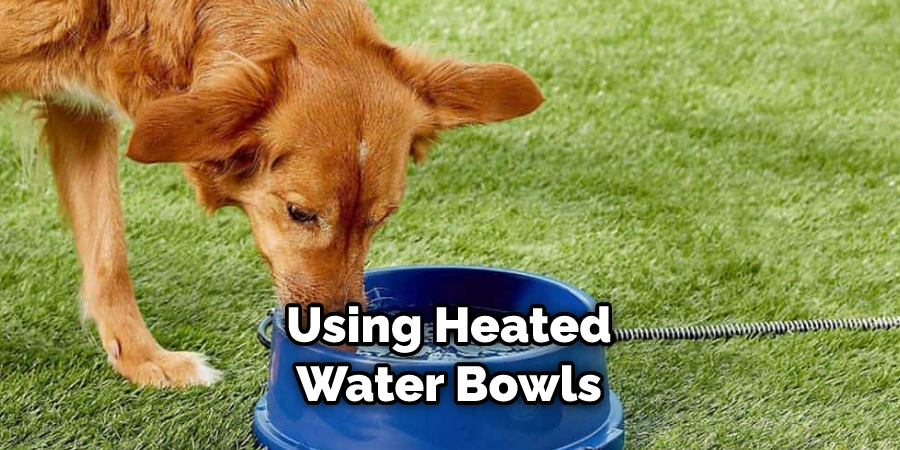 Using Heated Water Bowls