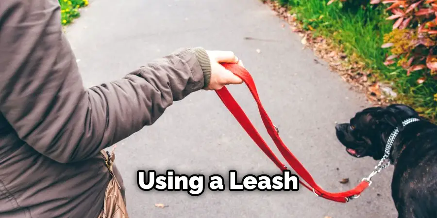Using a Leash