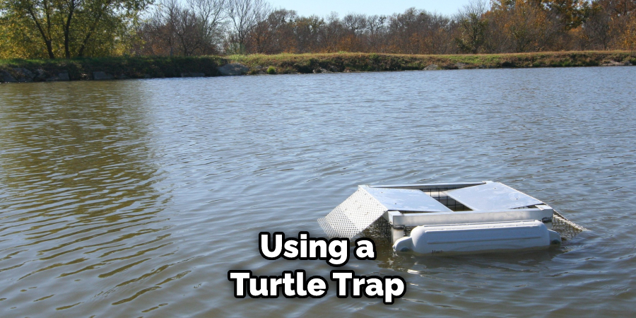 Using a Turtle Trap