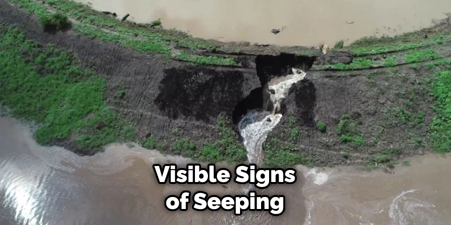 Visible Signs of Seeping