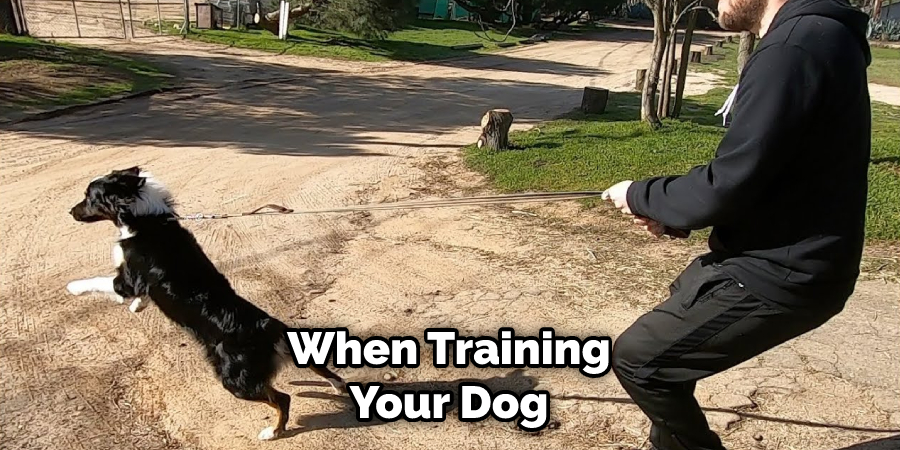 When Training Your Dog
