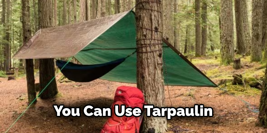 You Can Use Tarpaulin