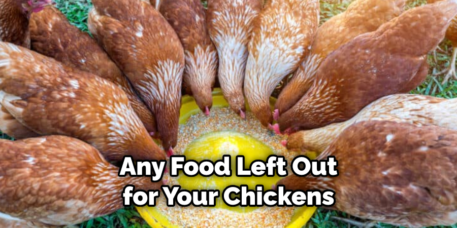 Any Food Left Out for Your Chickens