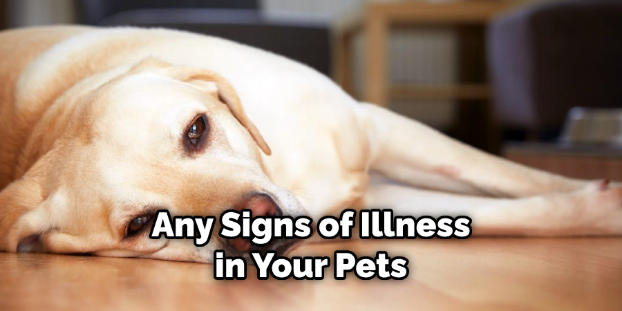 Any Signs of Illness in Your Pets