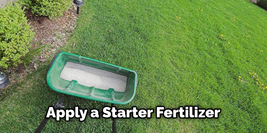 Apply a Starter Fertilizer