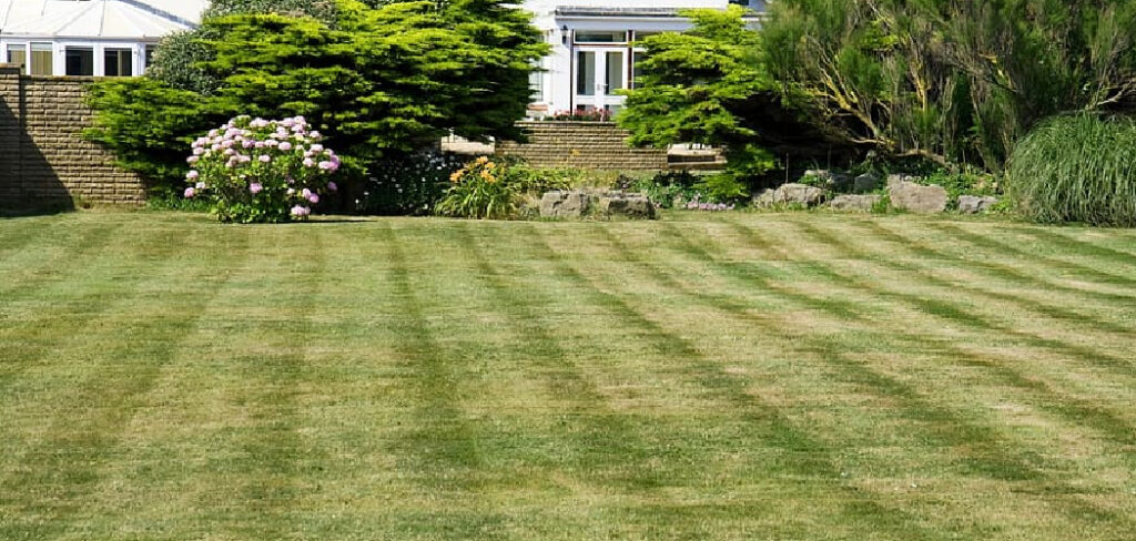 How to Make My Lawn Greener and Thicker