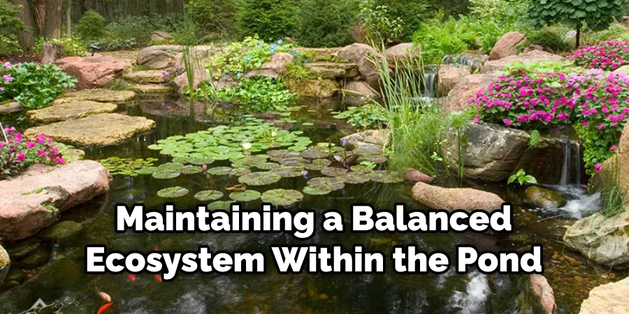 Maintaining a Balanced Ecosystem Within the Pond