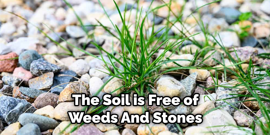 The Soil is Free of Weeds And Stones